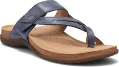 Taos Perfect 12 Taos Perfect -Englins Fine Footwear taos us womens perfect dark blue prf 14050 dkbl 57607.1682093219