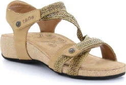 Taos Trulie -Englins Fine Footwear taos women trulie camel tru 16406 cml 79327.1682088053