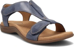 Taos The Show 6 Taos The Show -Englins Fine Footwear taos womens the show dark blue tsh 14039 dkbl 56012.1682099716