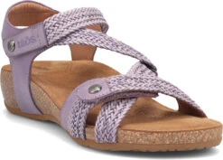 Taos Trulie -Englins Fine Footwear taos womens trulie lavender tru 16406 lav 38548.1682088054